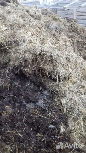 Навоз в мешках перепревший