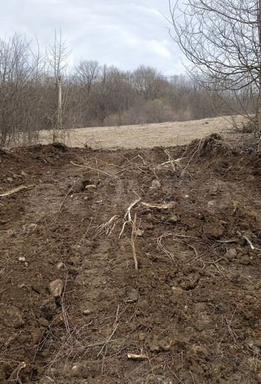 Участок 100 сот. (СНТ, ДНП)