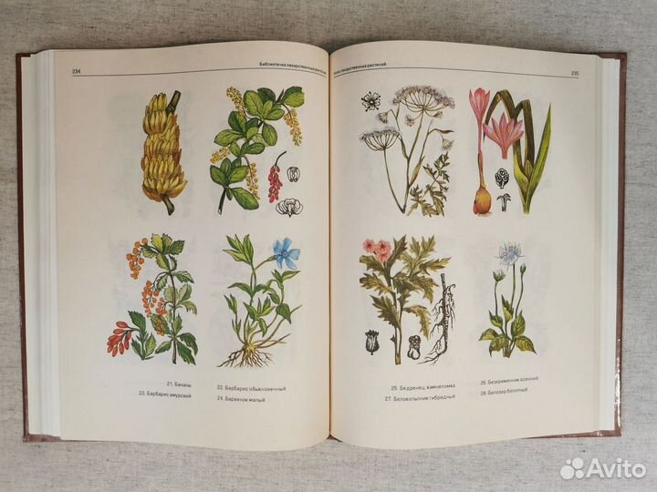 2 книги: лекарственные растения с рецептами