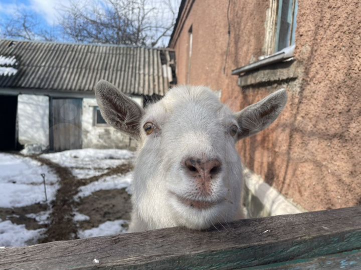 Дом 83,8 м² на участке 16 сот.