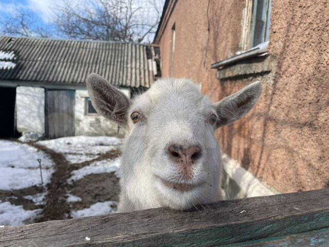 Дом 83,8 м² на участке 16 сот.