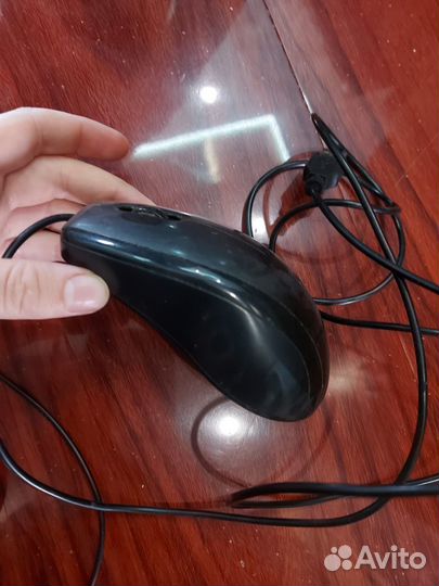 Компьютерные мыши