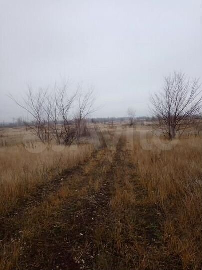 Участок 1,3 га (ИЖС)