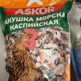 Ракушка для животных