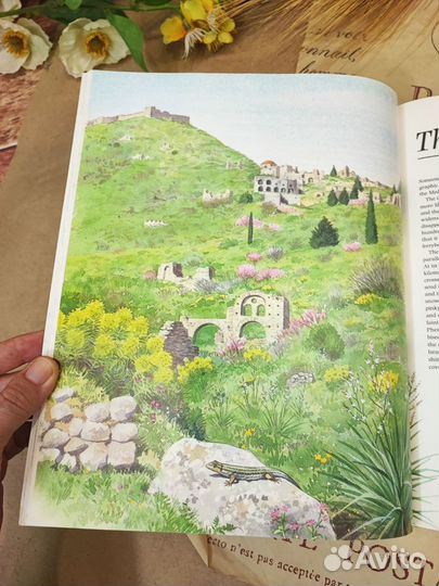 Книга про путешествие в Грецию с иллюстрациями