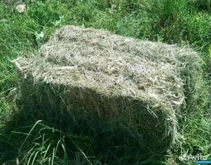 Сено в тюках