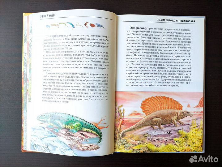 Книга детская 