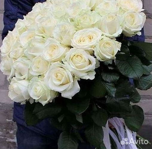 Розы Эквадор Метровые 100 см доставка Москва