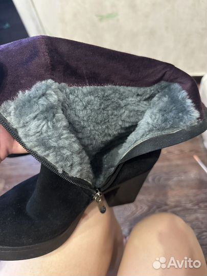 Сапоги женские