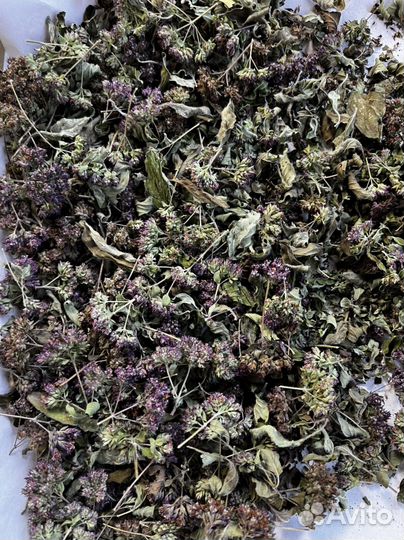 Трава душица