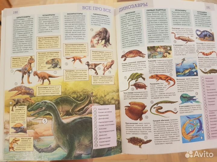 Детская энциклопедия