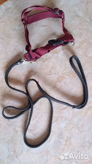Поводок и шлейка для собаки, кошки