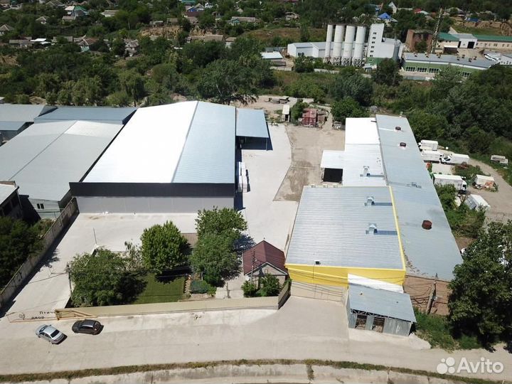 Яйцо инкубационное бройлер кобб 500/росс 308