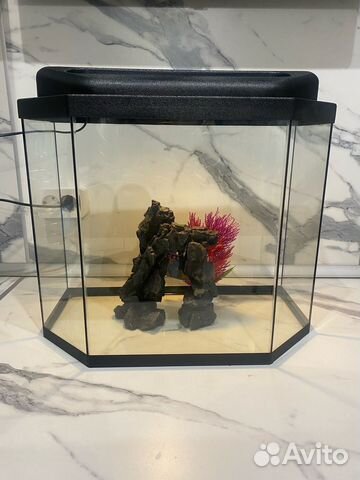 Аквариум 40 литров