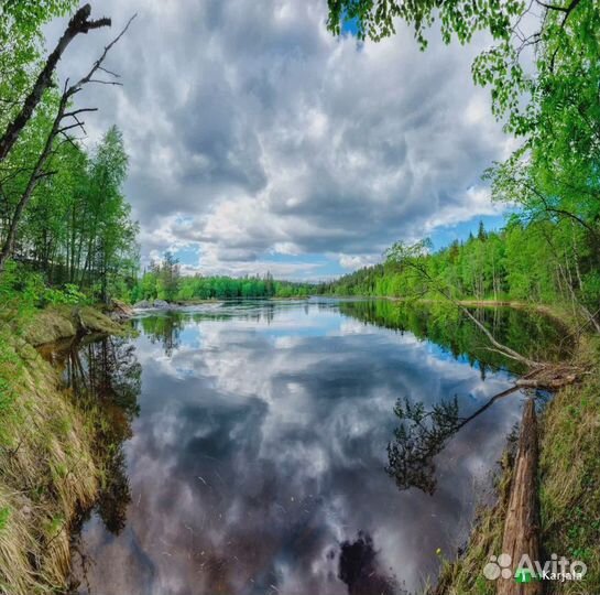 Тур в Паанаярви. Красоты Севера