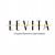 LEVITA - международная студия балета и растяжки