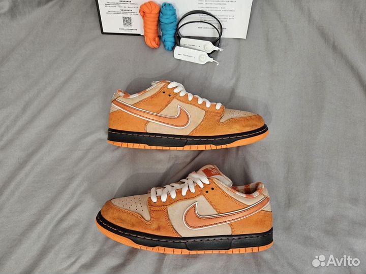 Nike SB Dunk Low Concepts Orange Lobster Оригинал