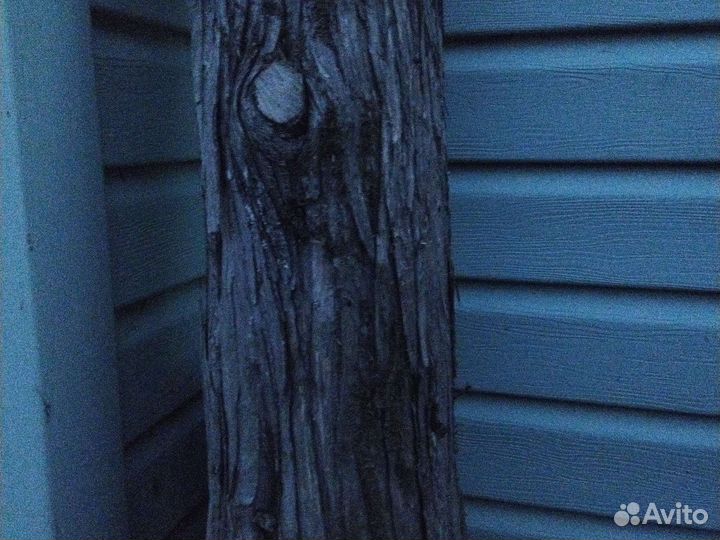 Металлопрофиль