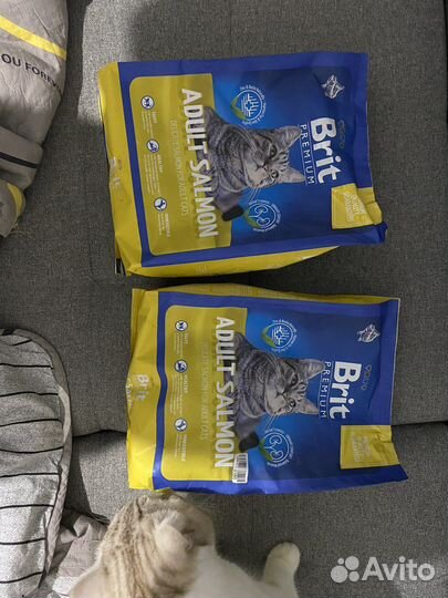 Корм для кошек brit