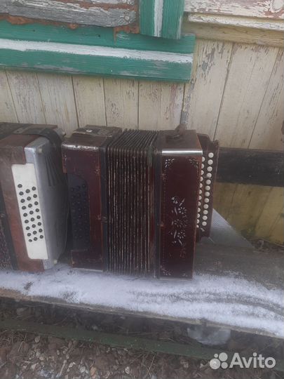 Баяны Тульские