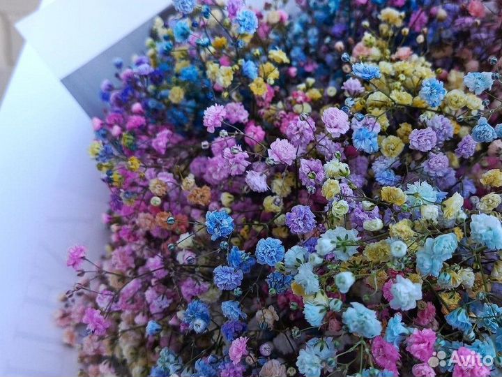 Гипсофила Доставка цветов букеты