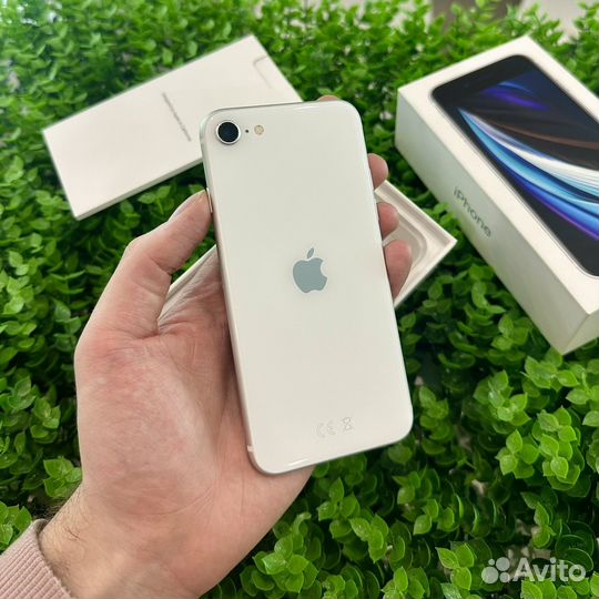 iPhone SE (2020), 64 ГБ