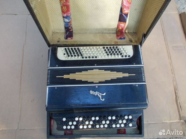 Баян кировский