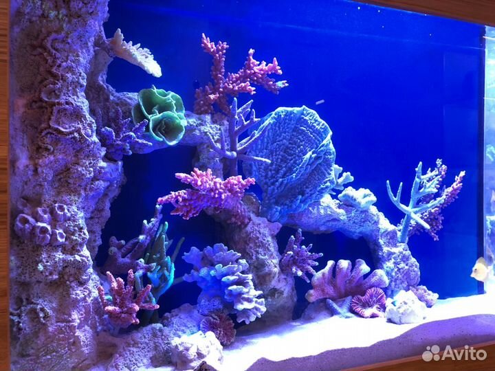 Аквариумы в наличии и на заказ