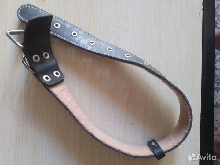 Шлейка, ошейник, поводок и кормушка