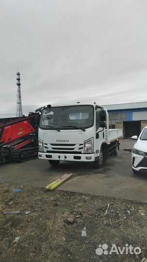 Isuzu Elf, 2024