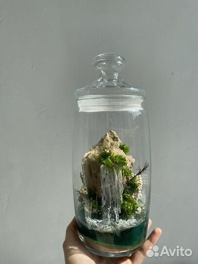 Флорариум (моссариум)