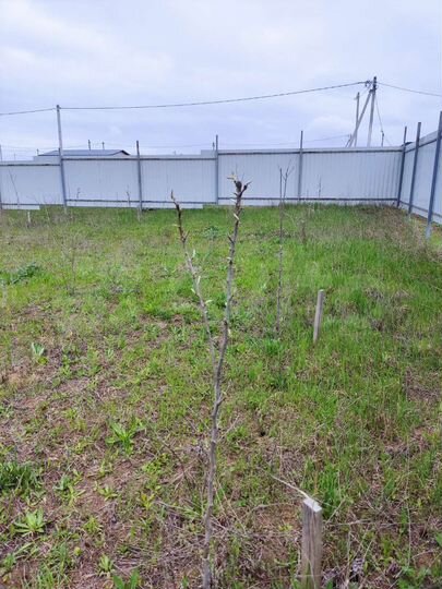 Участок 6 сот. (СНТ, ДНП)