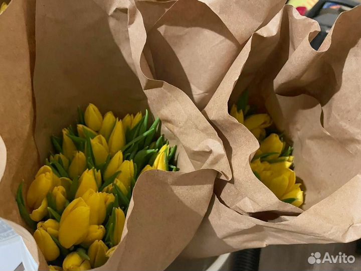 Розовые тюльпаны