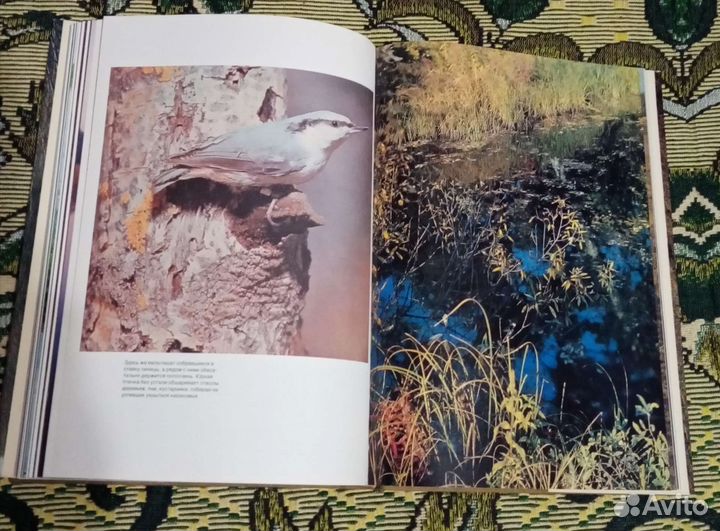 Книги по архитектуре, фотоальбомы. Новые