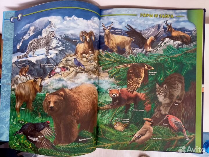 Новый Атлас Животных Росмэн 2007