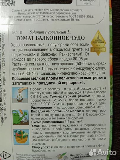 Рассада помидор