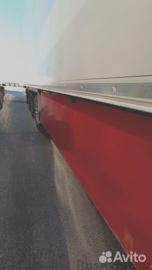 Полуприцеп рефрижератор Schmitz Cargobull SKO 24, 2021