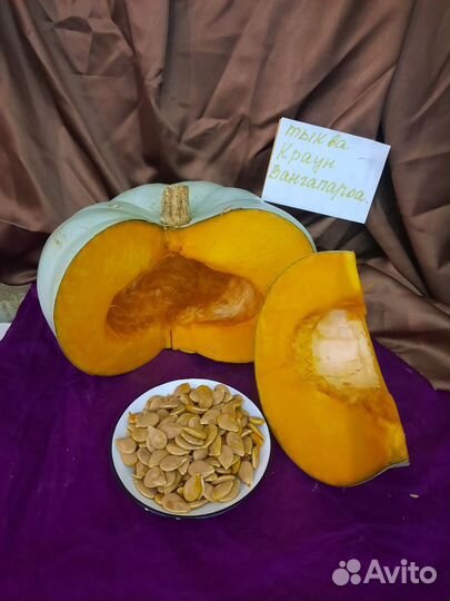 Тыква редких сортов