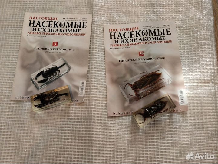 Жуки в смоле. больше