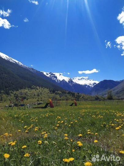 Экскурсовод -Экскурсии