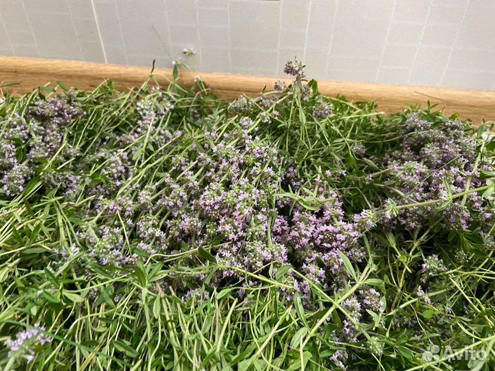 Чабрец лимонный и другие травы