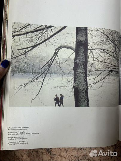 Московская панорама 1979