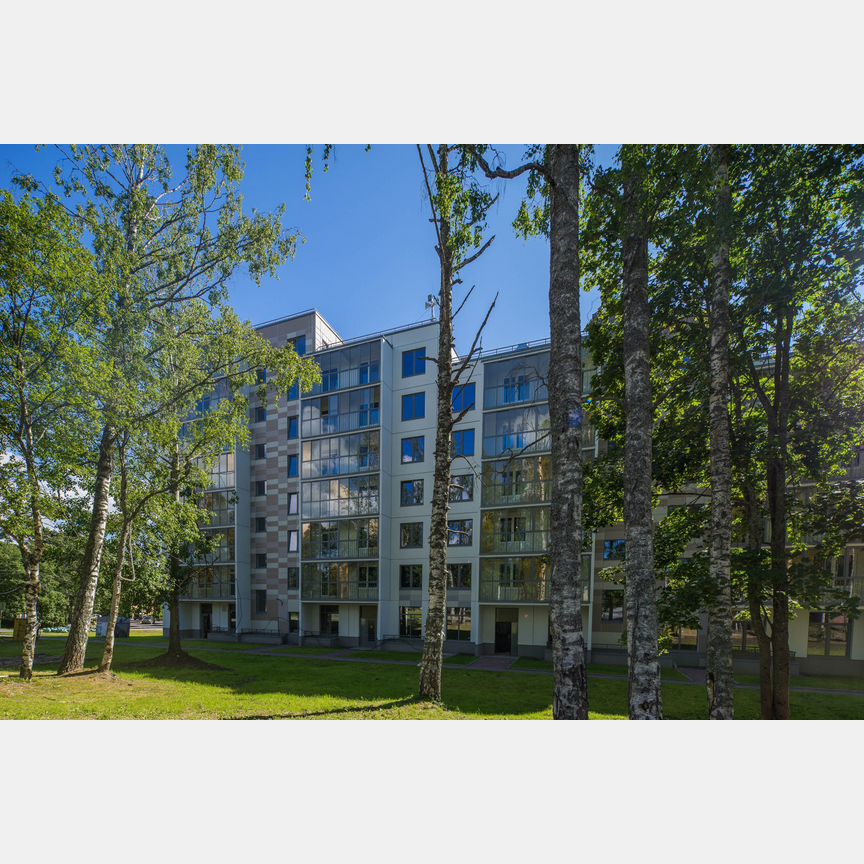 1-к. апартаменты, 50,9 м², 1/8 эт.