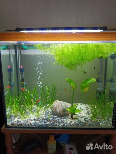 Украшение для аквариума