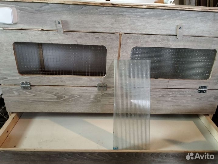 Брудер для суточных цыплят и подростков