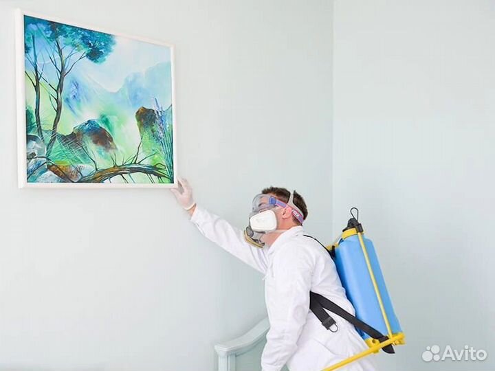 Уничтожение тараканов, дезинфекция