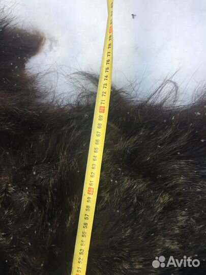 Шкурка животного