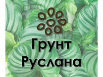 Грунт Руслана