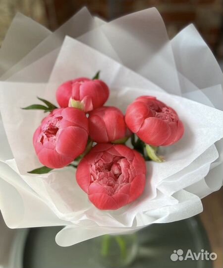 Букет из пионов. Пионы