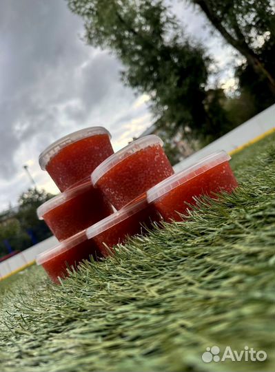 Красная икра горбуши 2023г в наличии